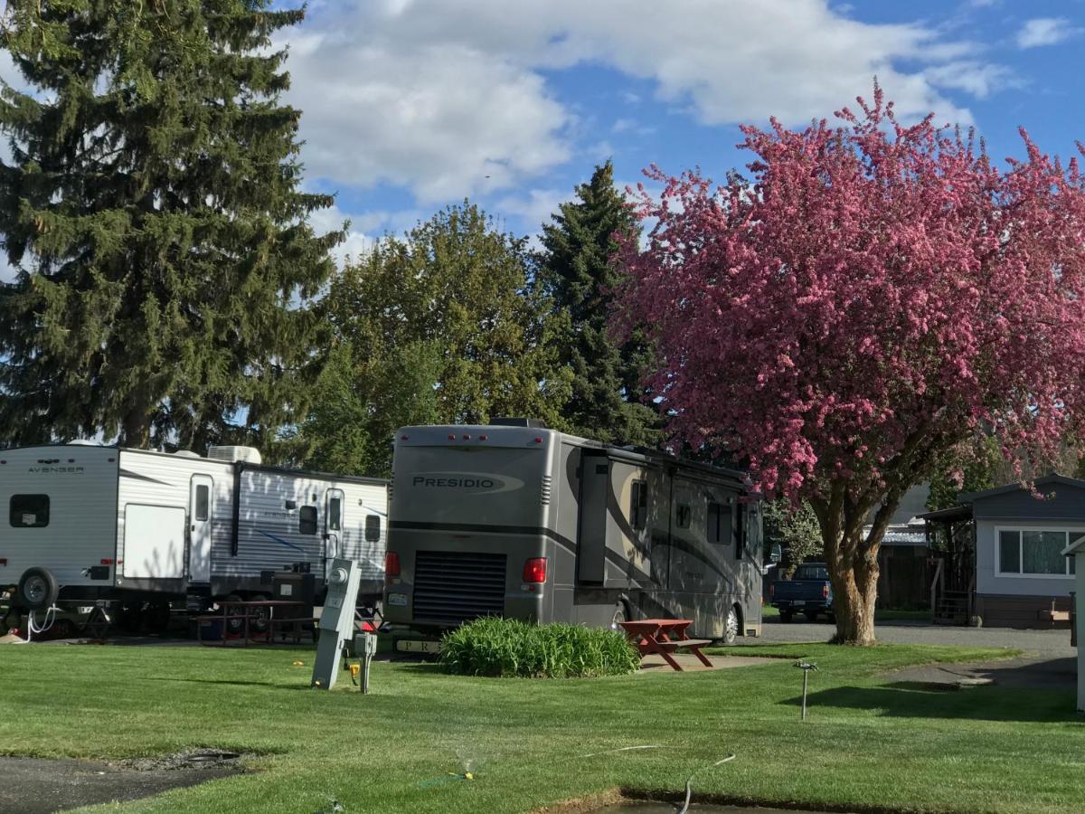 Goose Creek Rv Park & Campground Wilbur 外观 照片